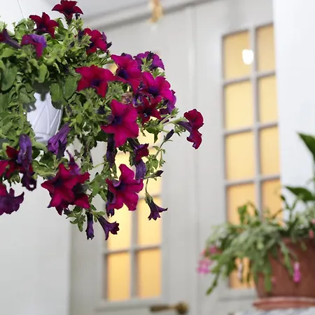 Emre 4* コルチャ